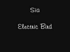 Testi Electric Bird