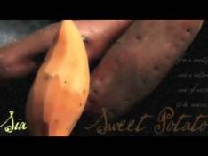 Testi Sweet Potato
